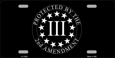 LP-13581 6 x 12 in. Protected by 2nd Amendment Novelty Metal License Plate Tag