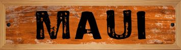SMART BLONDE Maui Novelty Wood Mounted Small Metal Street Sign WB-K-1414