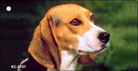 SMART BLONDE Beagle Novelty Metal Key Chain KC-2157