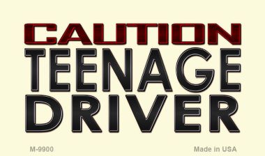 SMART BLONDE Caution Teenage Driver Novelty Metal Magnet M-9900