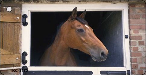 SMART BLONDE Horse in Barn Novelty Metal Key Chain KC-3175