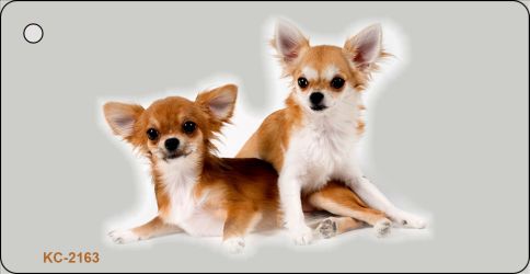 SMART BLONDE Chihuahua Novelty Metal Key Chain KC-2163