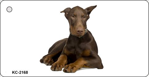 KC-2168 1.5 x 3 in. Doberman Novelty Metal Key Chain