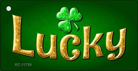 SMART BLONDE Lucky Irish Novelty Metal Key Chain KC-11739