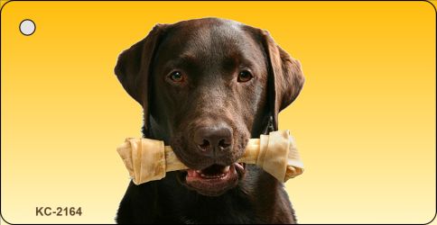 SMART BLONDE Chocolate Lab Novelty Metal Key Chain KC-2164