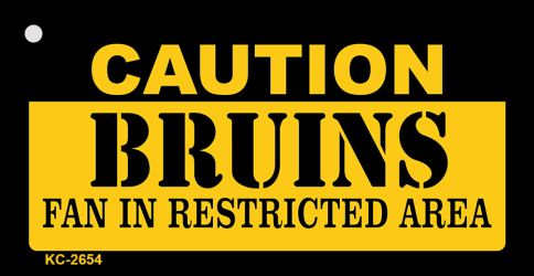 SMART BLONDE Caution Bruins Fan Area Novelty Metal Key Chain KC-2654