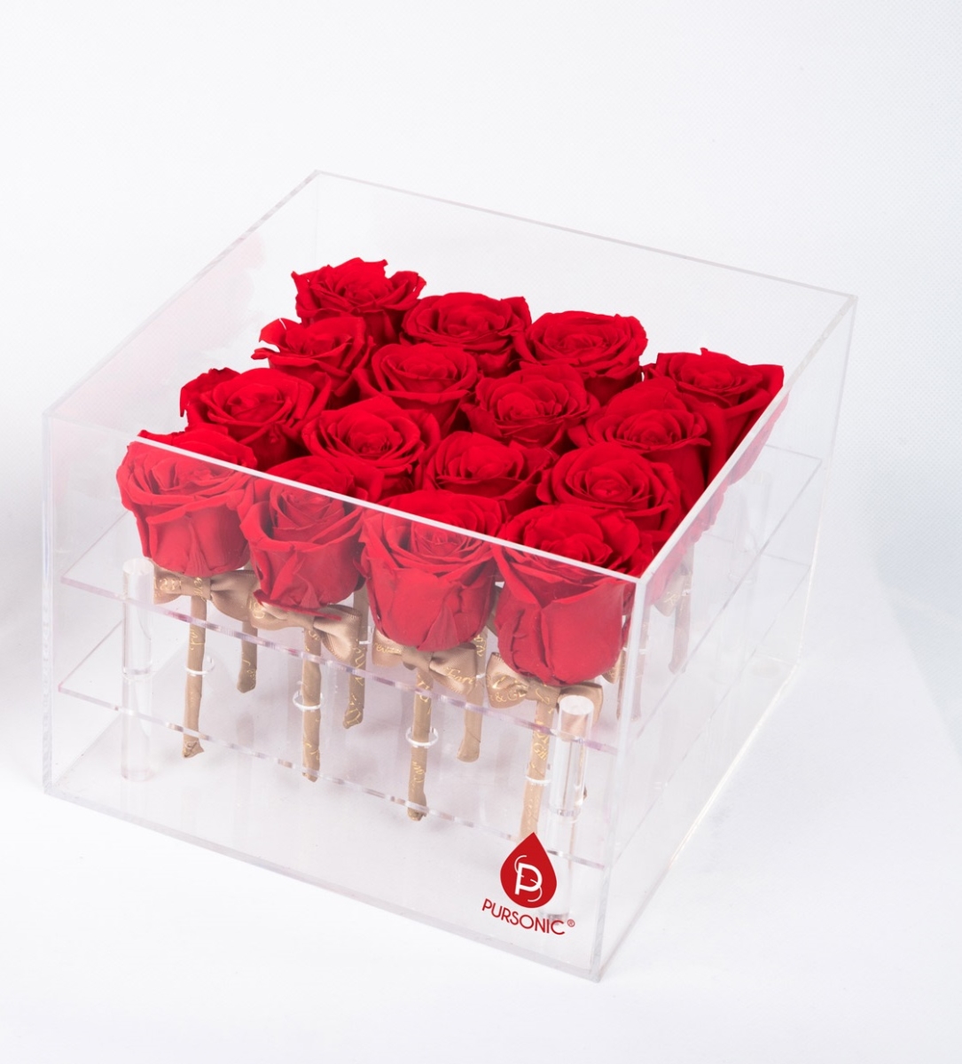 PR16RD Preserved Roses, Red - 16 Count