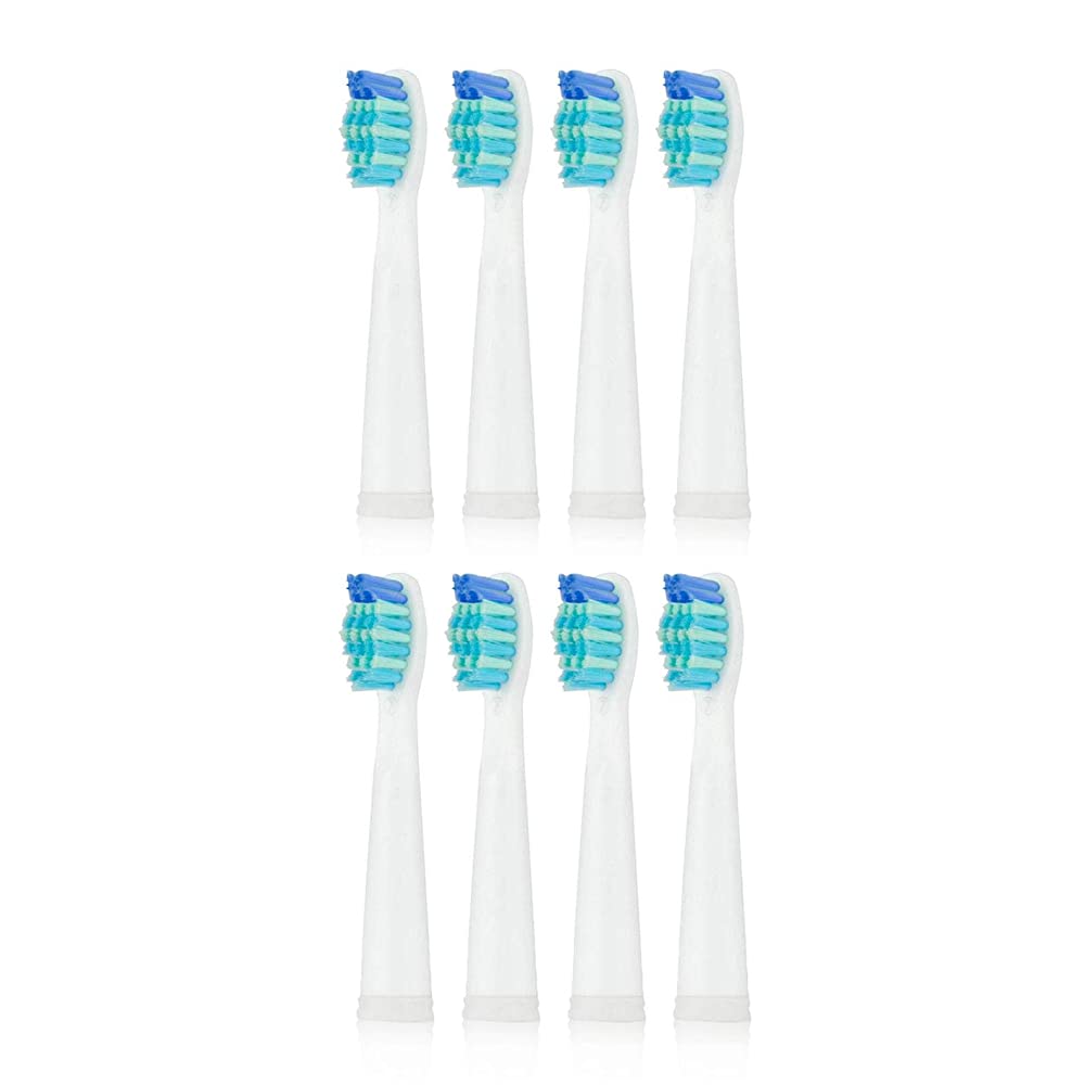 USB Rechargeable Sonic Toothbrush with 3 Brush Heads