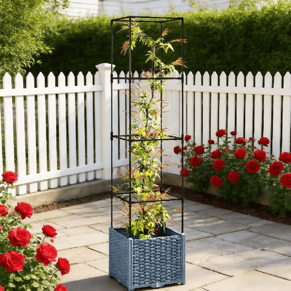 D01027H72CA Gray Garden Bed
