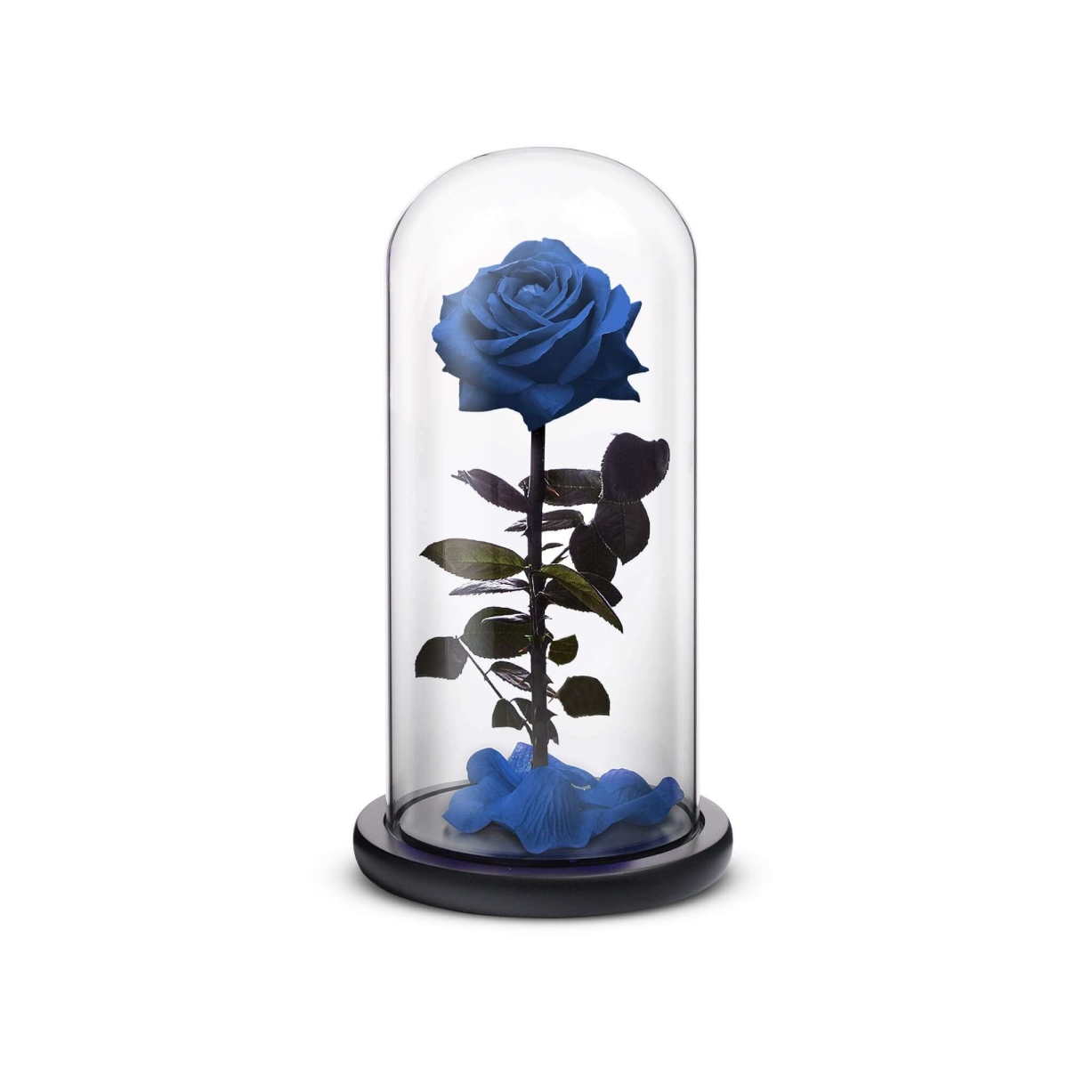 RSPH-R-S-Blue Blue Everlasting Flower - Small