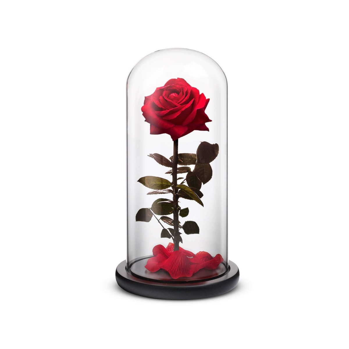 RSPH-R-L-Red Red Everlasting Flower - Large