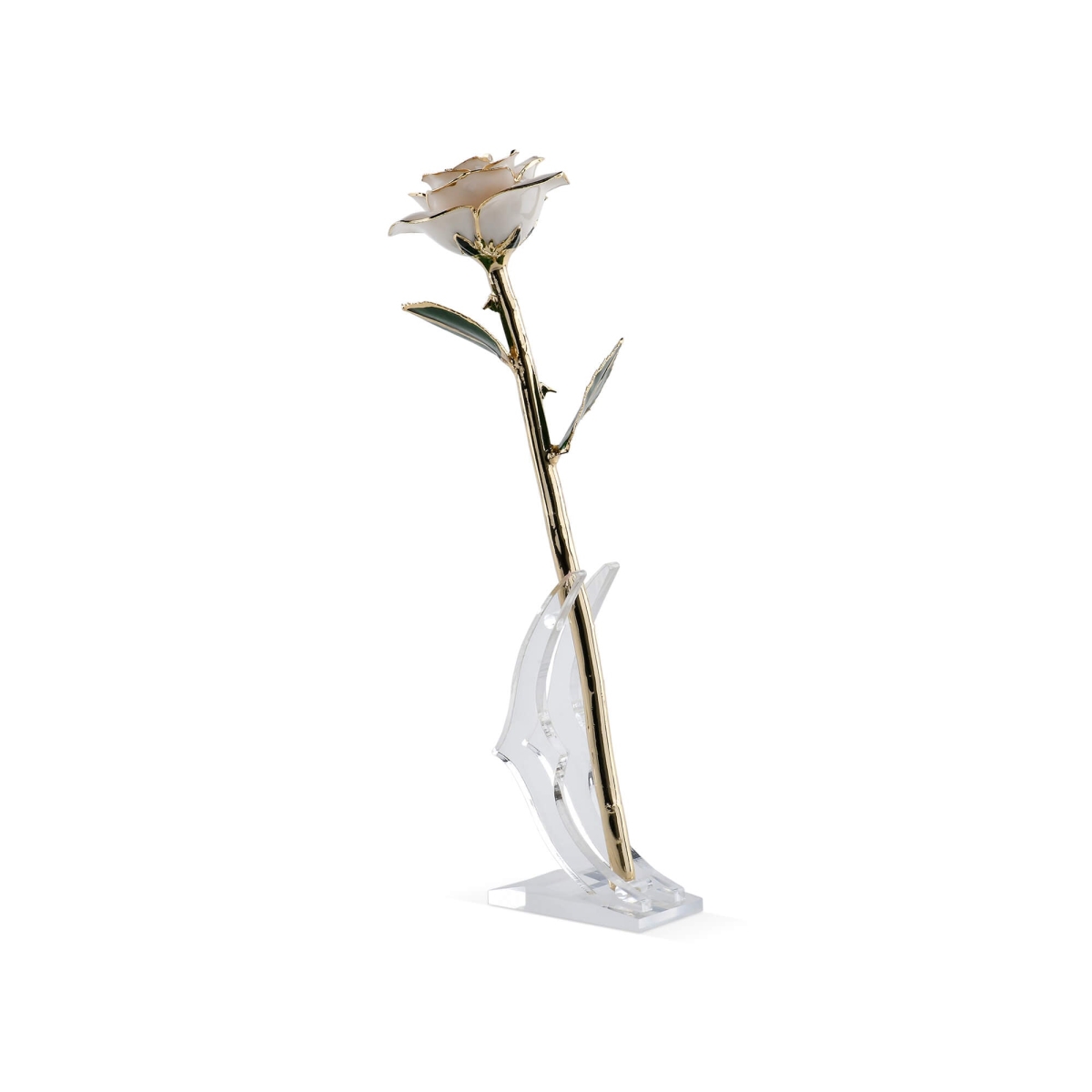 RSPH-RMR-WHITE Unisex White Forever Rose Flower
