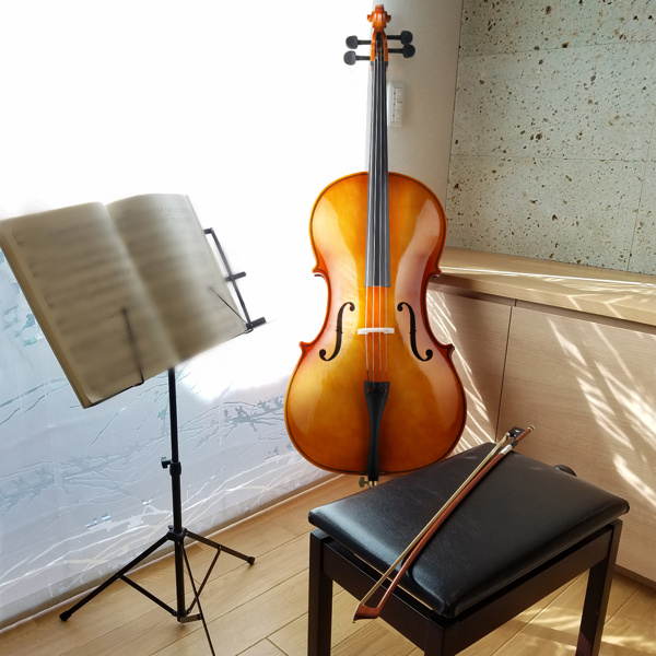 D0102HGZH6Y 4-4 Size Retro Style Cello Case Bow Rosin