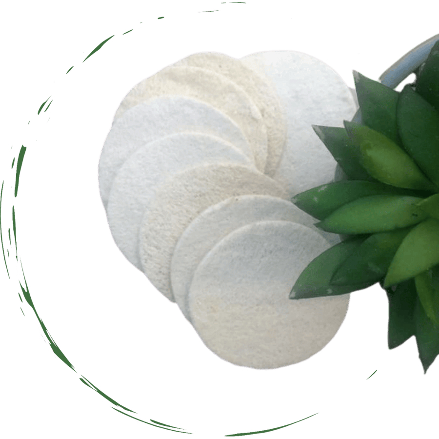D0102HEYUMW Natural Loofah Sponge Pads, White - 5 Piece
