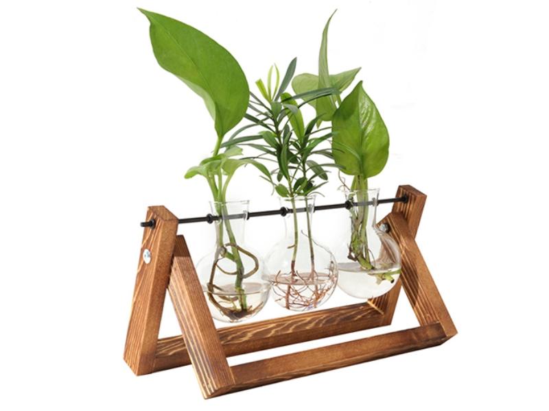 Picture of Fresh Fab Finds FFF-GPCT3366 Desktop Glass Planter Bulb Plant Terrarium with Wooden Stand Air Planter Glass Vase Metal Swivel Plant Vase for Hydroponics&#44; Wood - Unisex