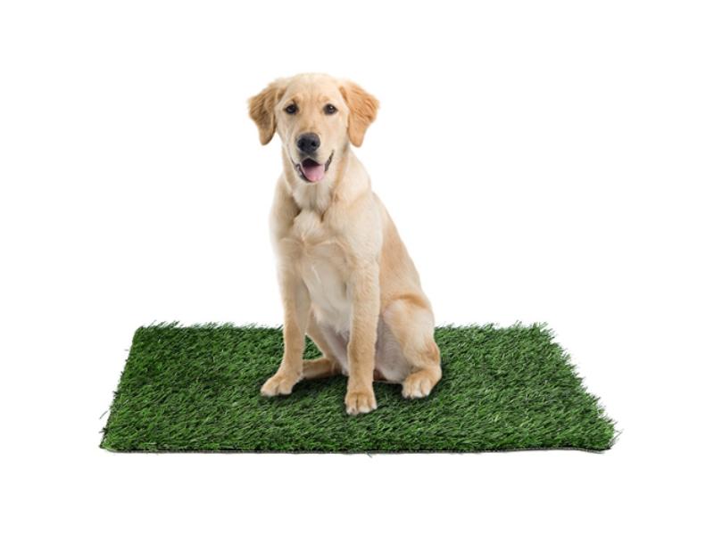 Picture of Fresh Fab Finds FFF-GPCT2167 23.23 x 18.12 in. Replacement Grass Mat for Pet Potty Tray Dog Pee Potty Grass Turf Pad Fast Drainage Easy Cleaning