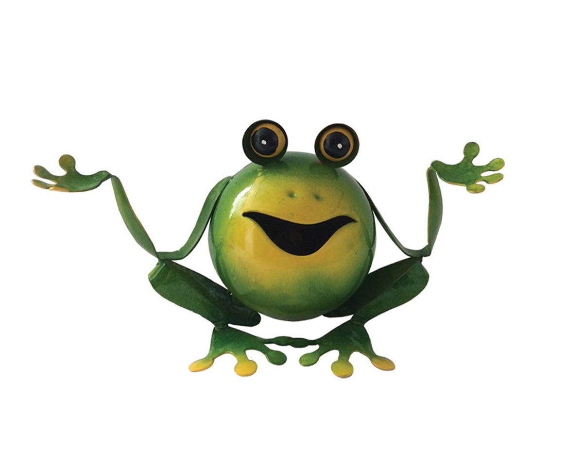 5 in. Whats up Iron Frog
