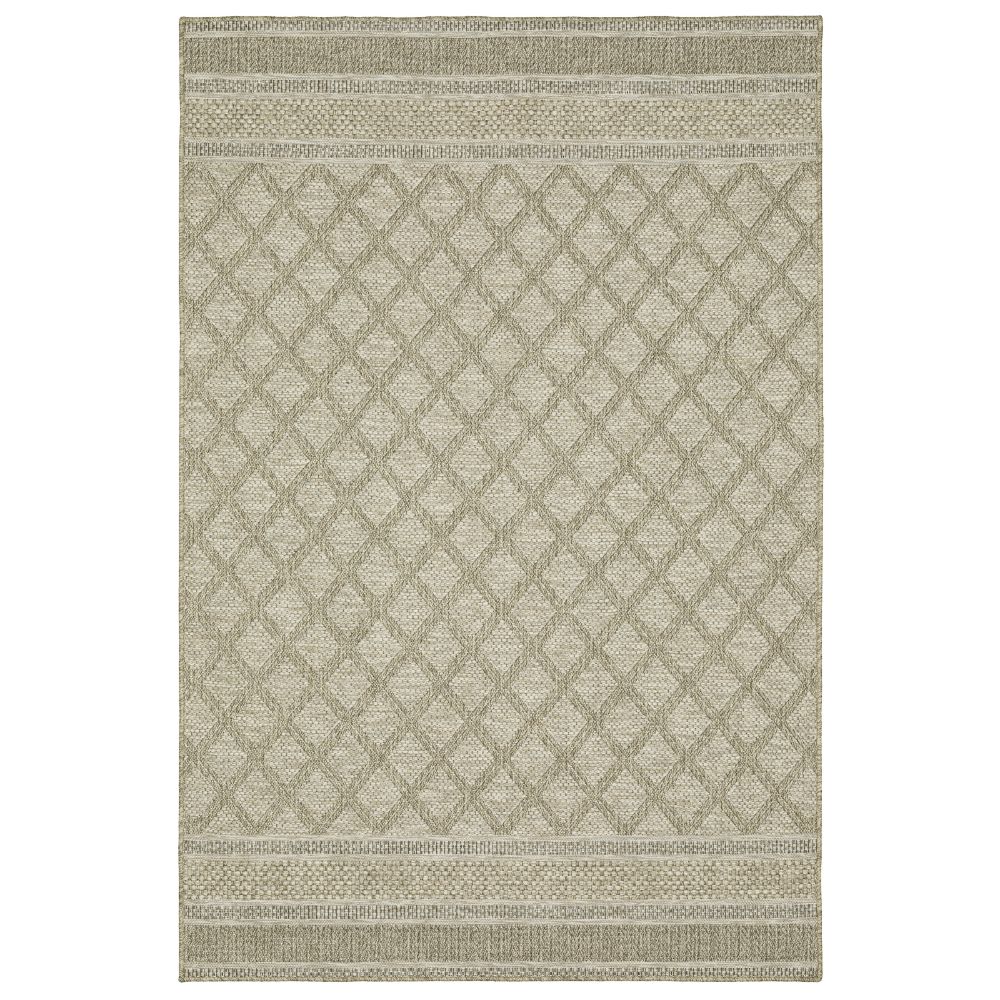 TTR10A100152ST 3 ft. 3 in. x 5 ft. Tortuga TR10A Rectangle Area Rug, Beige