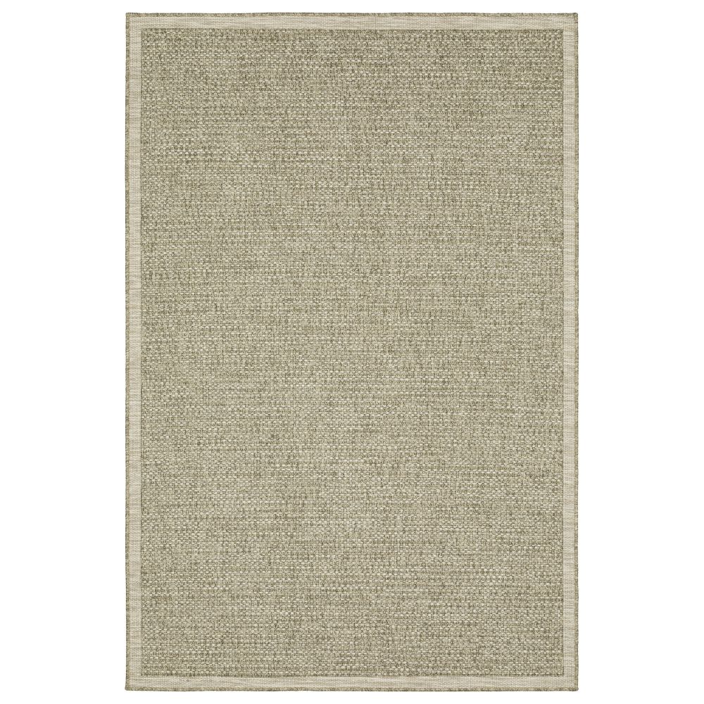 TTR12A100152ST 3 ft. 3 in. x 5 ft. Tortuga TR12A Rectangle Area Rug, Beige