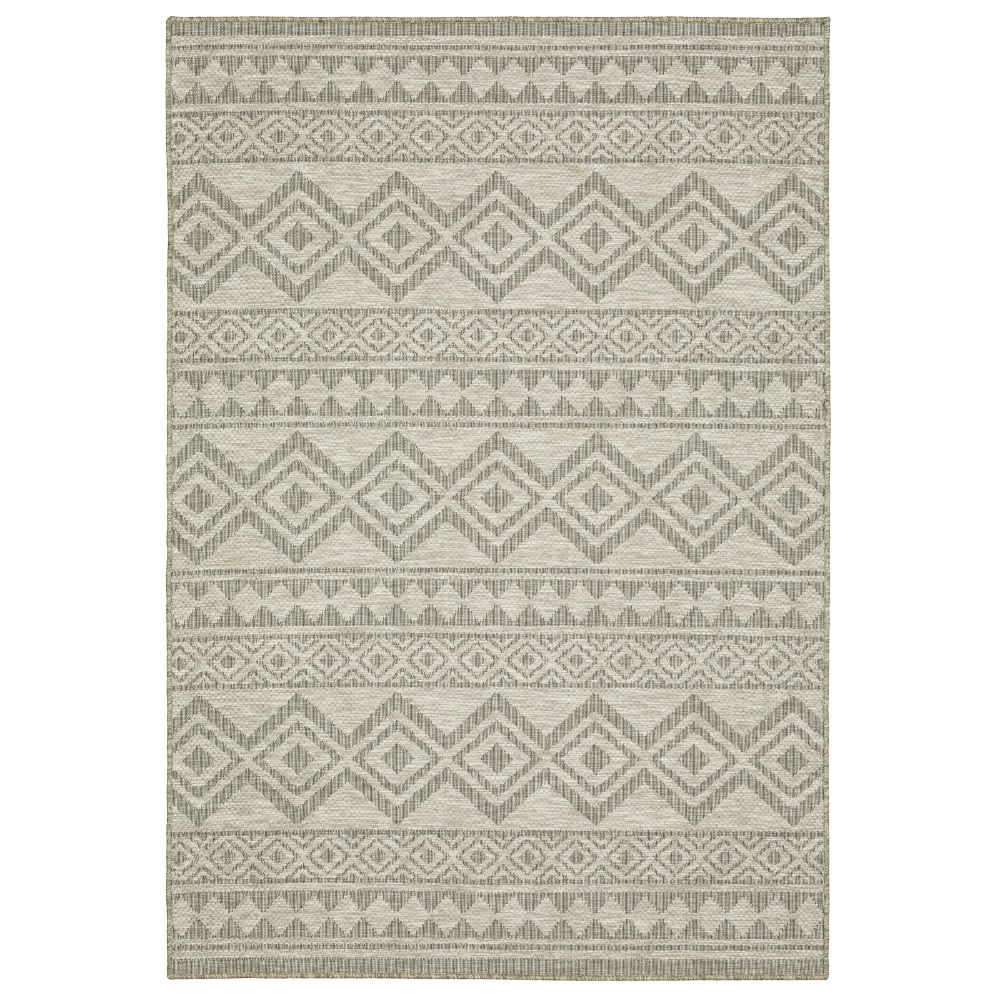 TTR03A160220ST 5 ft. 3 in. x 7 ft. 3 in. Tortuga Rectangle Area Rug - Beige