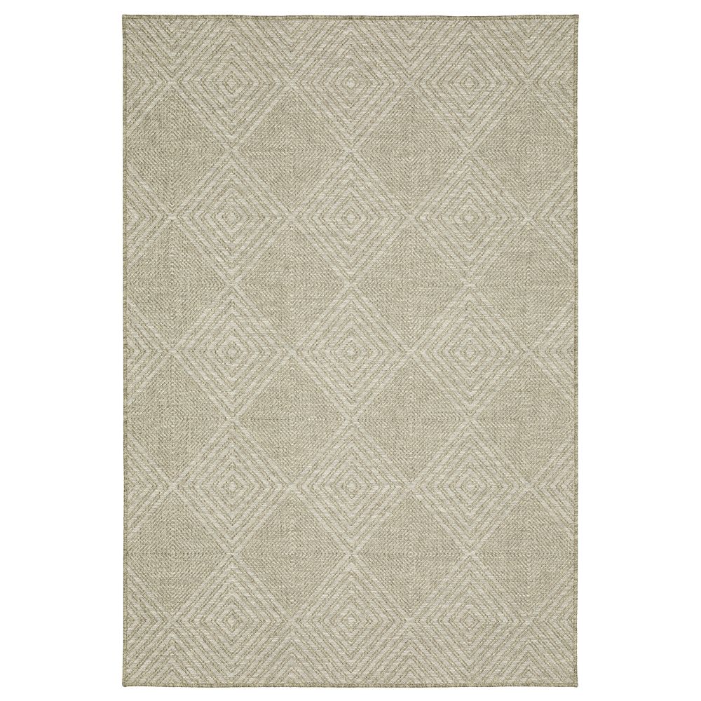 TTR05A240305ST 7 ft. 10 in. x 10 ft. Tortuga Polypropylene Rectangle Rug, Beige & Black