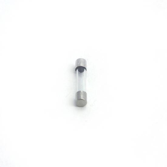 0.5A MDL Glass Fast Blow Fuse