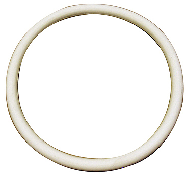 2 in. Filter Suction Fitting with O-Ring