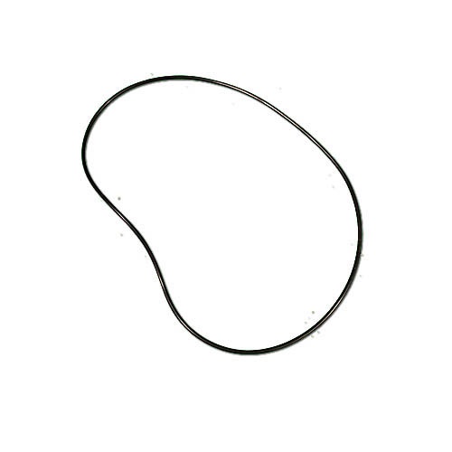 92200310 Aqua-Flo XP3 Pump O-Ring