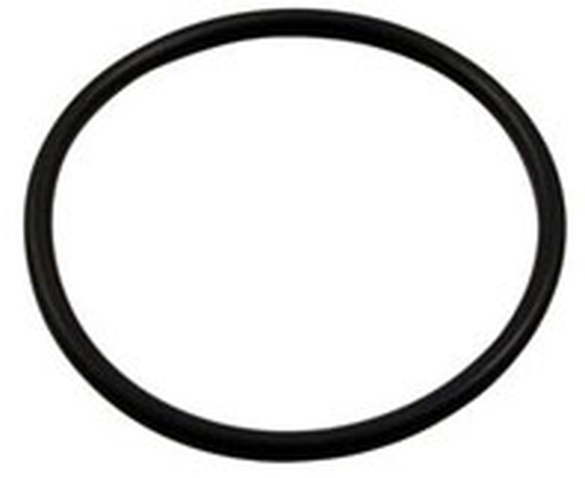 Vico Pump Union O-Ring - 2 in. - Durable Replacement Seal