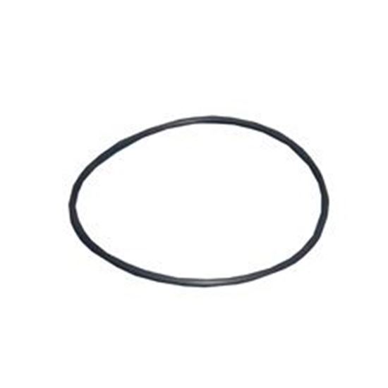 Picture of Waterway Plastics 805-0152 O-Ring, Pump Housing Tiny Might