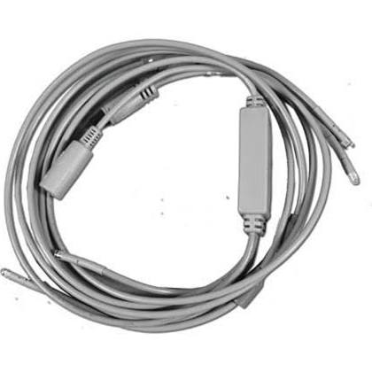 701564-4-DLO LED Light Sloan, Quad Strand - 50 in. Cable