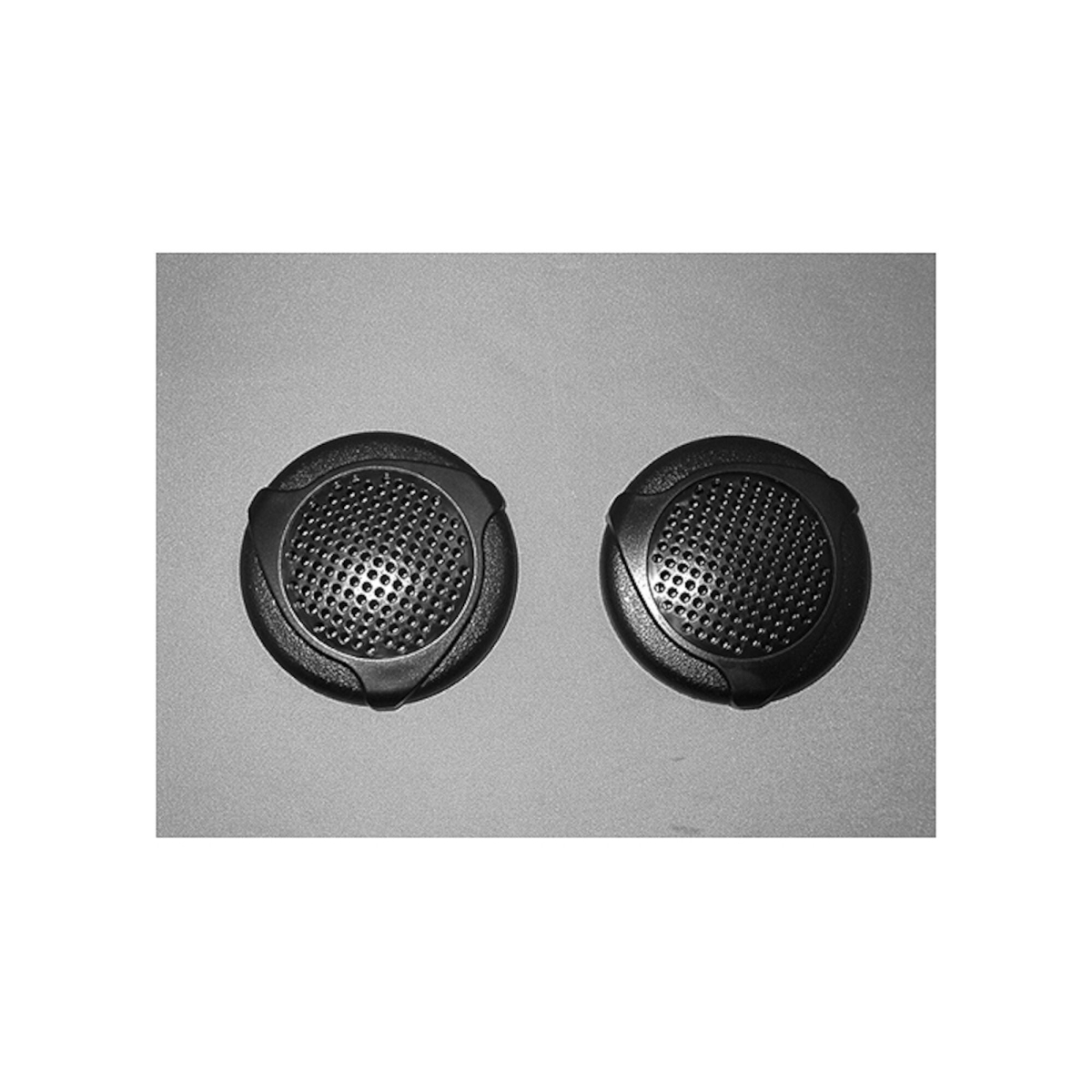 2 in. Cover Custom Tweeter Stereo Speaker