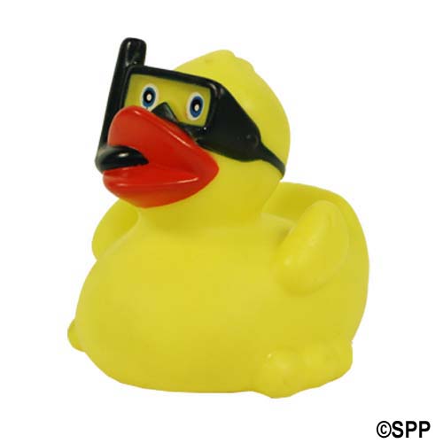 Assurance K24C Assortment of 24 Career Ducks