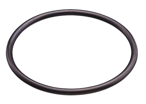 0301-229 2 in. Heater O-Ring for Union