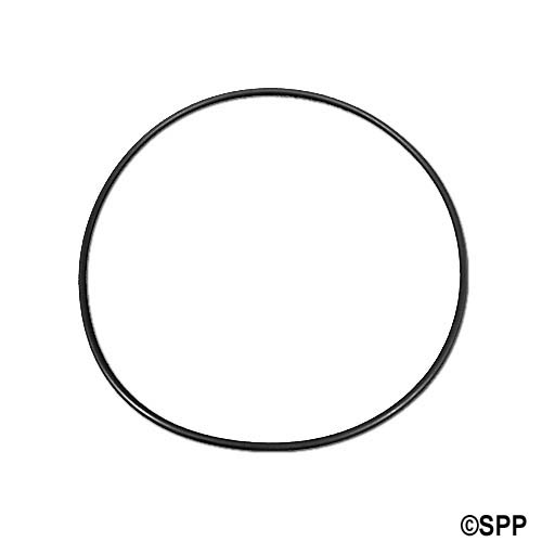 256BN70 O-Ring, Pump Volute, High-Flow, 5.75 ID x 6 in. OD