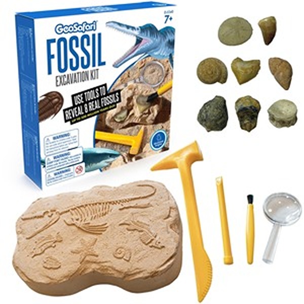 EII5340 Excavate Fossils Excavation Kit