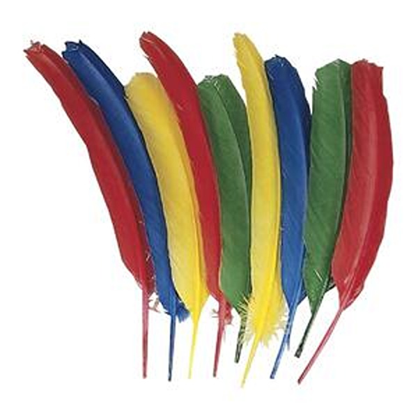PAC4503 Multipurpose Quill Feather, Assorted Color - Pack of 24