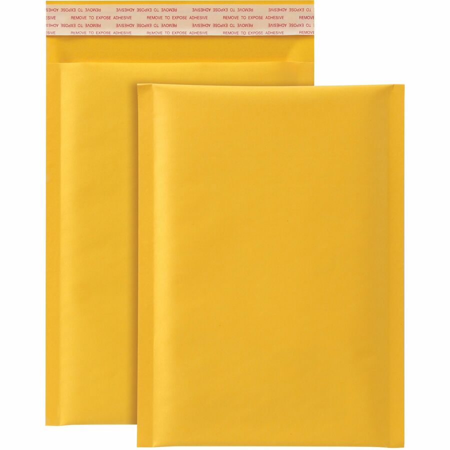 6 x 9 in. Paper Bubble Mailers - 25 per Box - Pack of 25