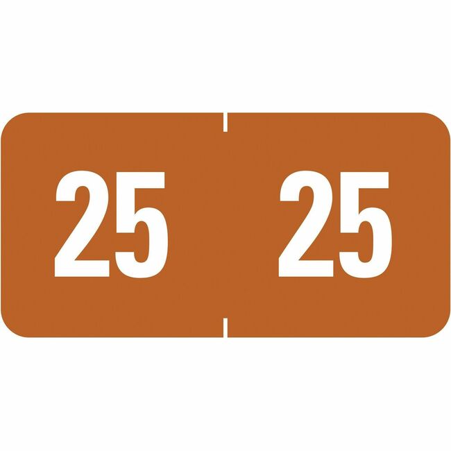 Year Labels, ETS 2024, Color-coded, 1inx1/2in,Brown