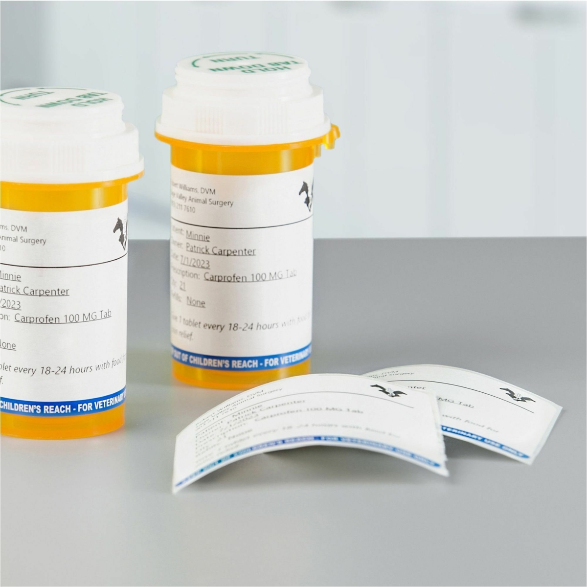 DYM2187328 2.75 x 2.12 in. LabelWriter Veterinary Labels, Pack of 6