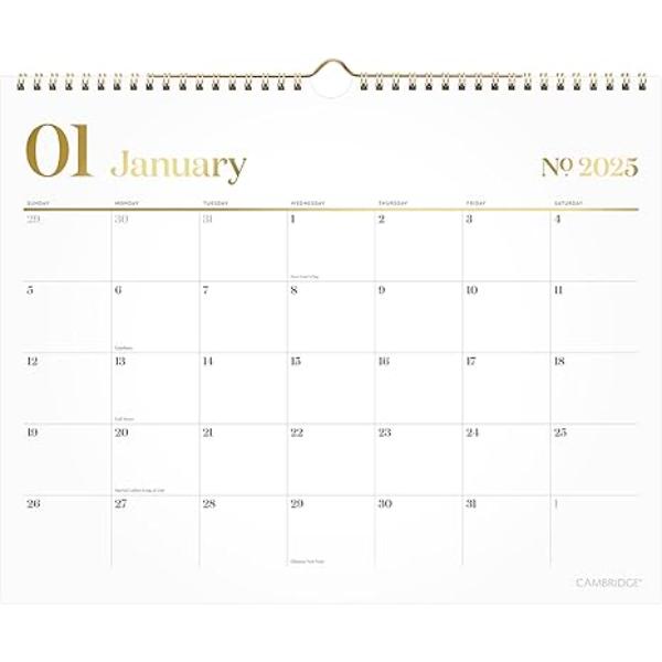 AAG1606707 15 x 12 in. 2025 Wall Calendar - Monthly & Work Style, White - Medium
