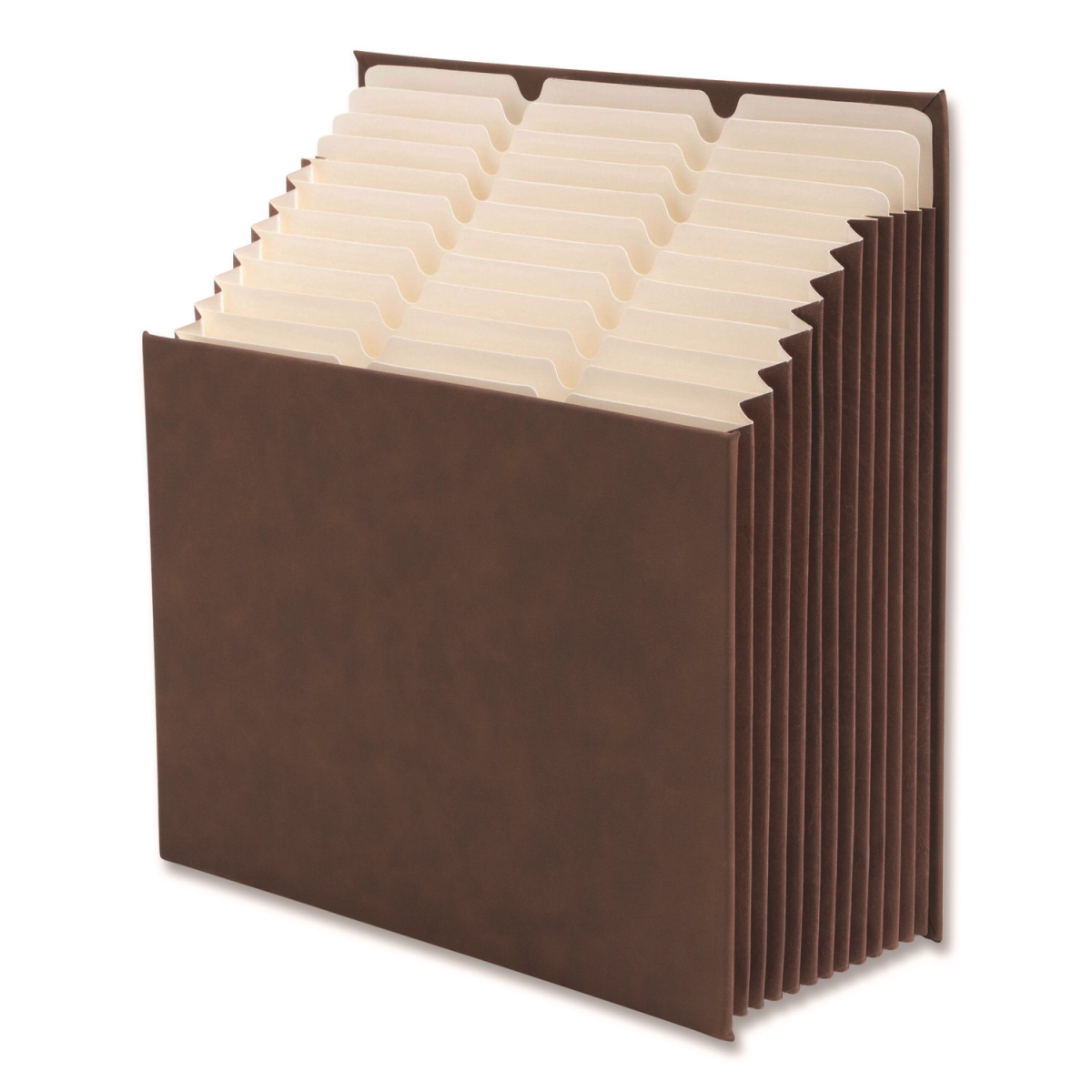 SMD70228 PVC Expansion Stadium File, Saddle - Letter Size - Pack of 12