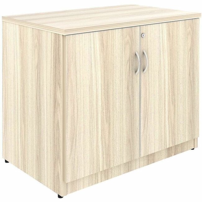 LLR66333 2 Door Storage Cabinet, Modern Elm