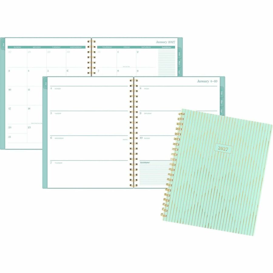 ACCO Brands AAG1843905 Weekly & Monthly Planner, Glimmer - Large