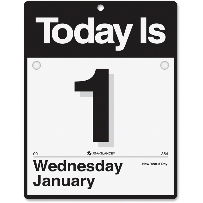 2021 Daily Wall Calendar by AT-A-GLANCE, 9-1/2" x 12", Small, ?Today is? Design (K40021) (AAGK400)