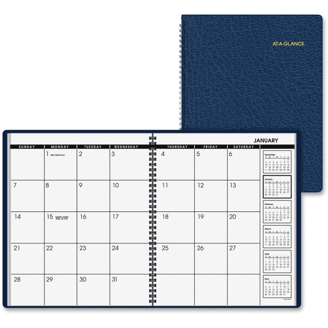 Picture of At A Glance AAG7026020 9 x11 in. 13-Month Leather Professional Planner - Navy