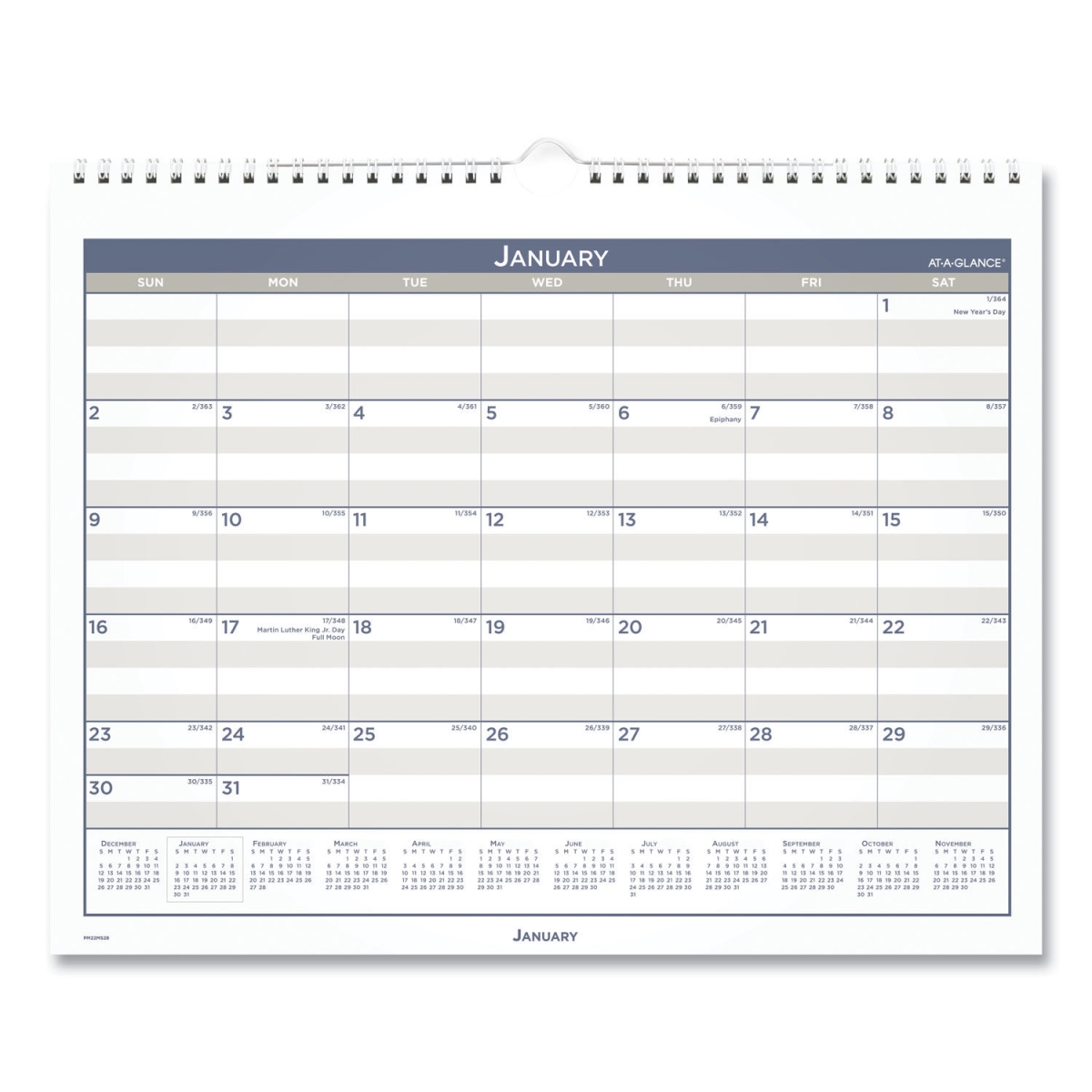 Picture of At-A-Glance AAGPM22MS28 15 x 12 in. Multi Schedule Monthly Wall Calender