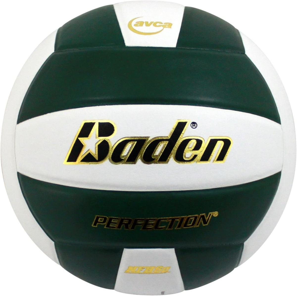 Picture of Baden 1460095 Perfection Leather Volleyball&#44; Green & White