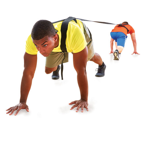 Training Harness Power Driver
