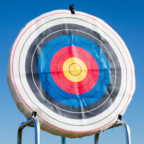 1375657 48 in. Round Ethafoam Target with Replaceable Core